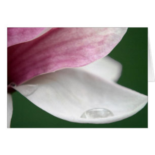 Cartão Magnolia Segurando Chuva