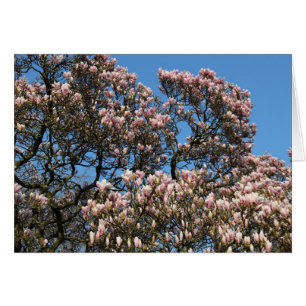 Cartão Magnolia Tree in Blossom