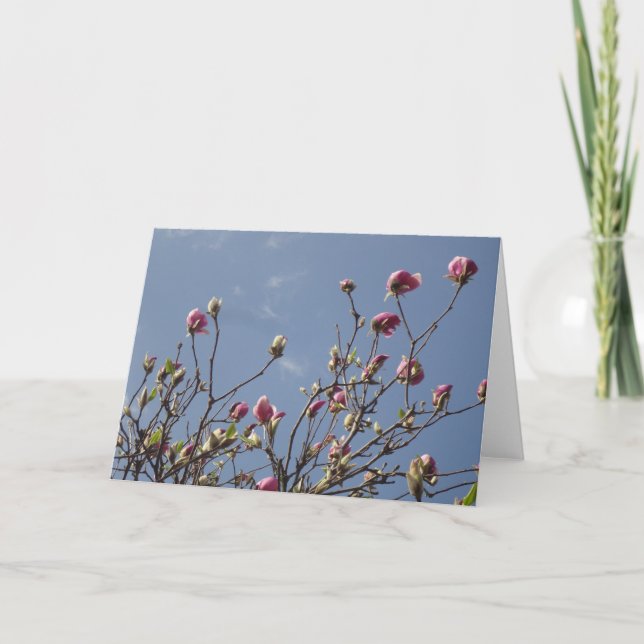 Cartão Magnolia Vazio Saudação (Frente)