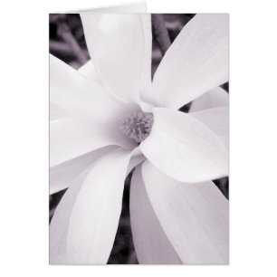 Cartão Magnolia - Vertical