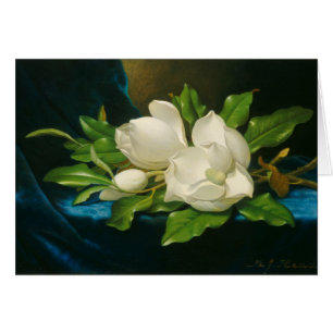 Cartão Magnolias gigantes em um pano azul veludo, c.1890