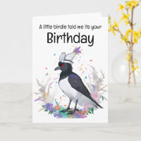 Magpie vestindo chapéu de aniversário que confete 