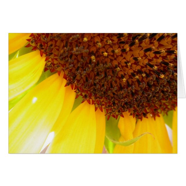 Cartão Mai Maniera (Frente Horizontal)