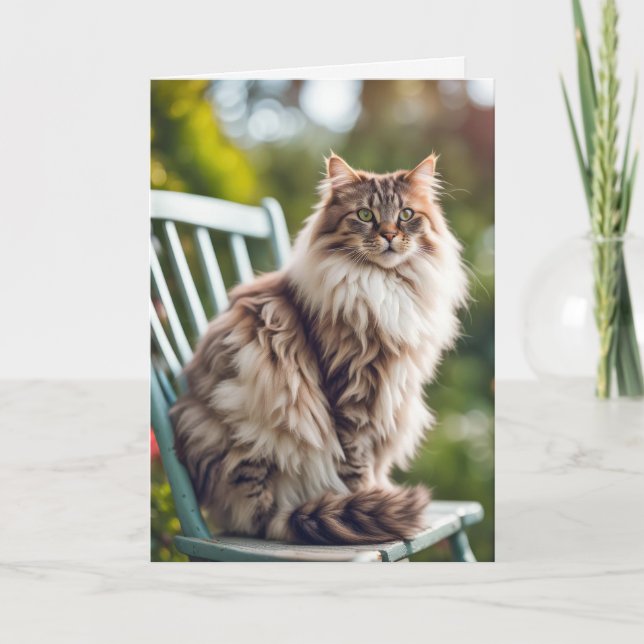 Cartão Maine Coon Cat Na Cadeira de Aniversário (Frente)