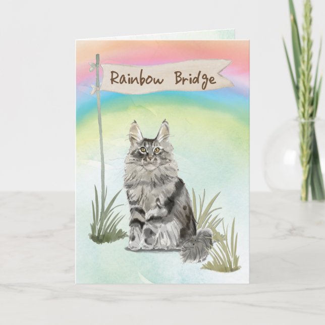 Cartão Maine Coon Cat Pet Sympathon Rainbow Bridge (Frente)