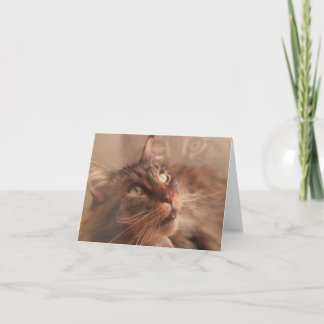 Cartão Maine Coon Note Card