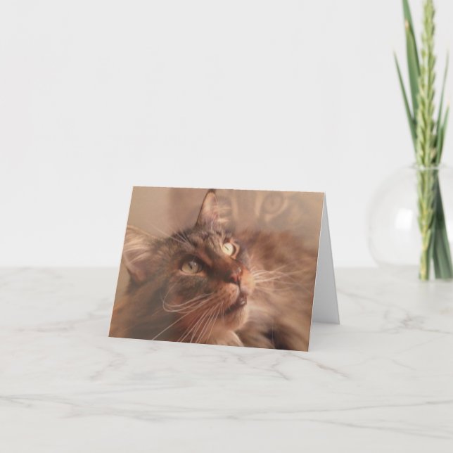 Cartão Maine Coon Note Card (Frente)