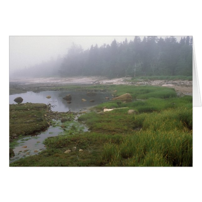 Cartão Maine da Ilha excelente Wass (Frente Horizontal)