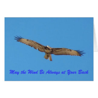 Cartão "Maio o vento esteja sempre no seu traseiro…."