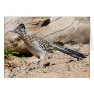 Cartão Maior Roadrunner