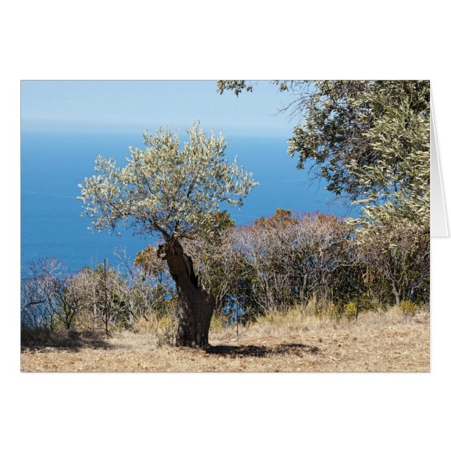 Cartão Maiorca (Frente Horizontal)