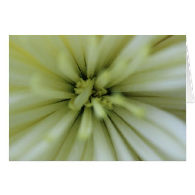 Cartão Maiores Flores (Frente Horizontal)