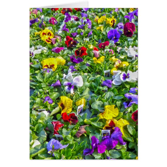 Cartão Mais painéis (Frente)