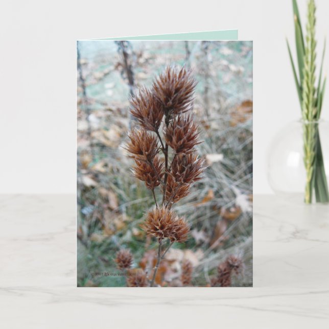 Cartão Mais tarde (Frente)