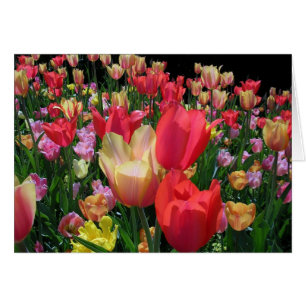 Cartão Mais Tulipas