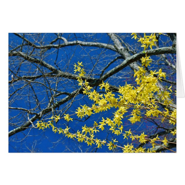 Cartão Mais uma vez (Frente Horizontal)