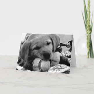 Cartão Major League Puppy - Greeting & Note Cards