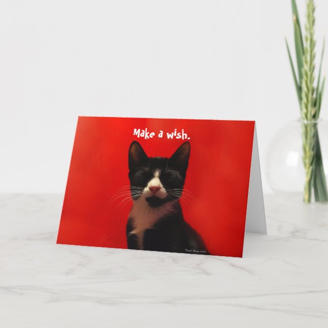 Cartão Make a Wish ^_^ (Frente)