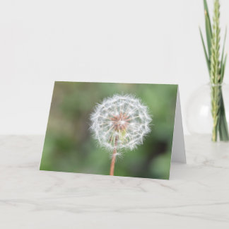 Cartão Make a Wish Greeting Card (Blank Inside)