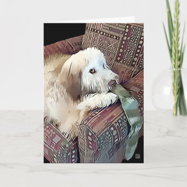 Cartão MALACHI heARTdog Whoodle (Frente)