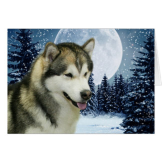 Cartão Malamute