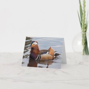 Cartão Male Mandarin Duck Notecard
