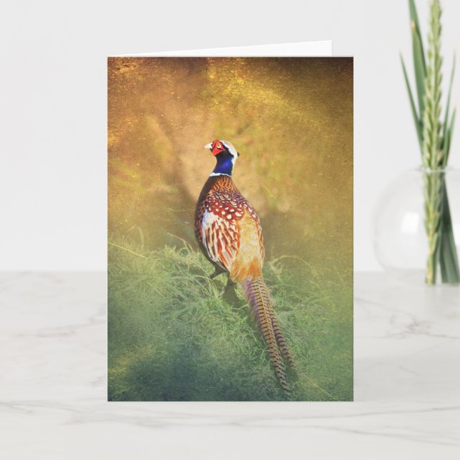 Cartão Male Pheasant Greetings Card (Frente)