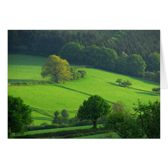 Cartão Malhas verdes (Frente Horizontal)