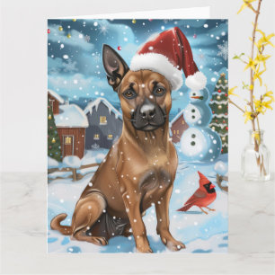 Cartão Malinoi Belga Cão Inverno Wonderland Natal