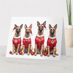 Cartão Malinois Belga Vestido de Natal Chapéu do Papai No