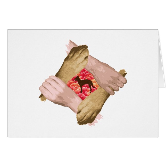 Cartão Malinois belgas (Frente Horizontal)