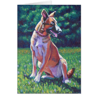 Cartão Malinois Shepherd em Grassy Field