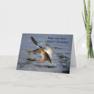 Cartão Mallard Duck Birthday Card