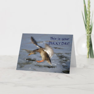 Cartão Mallard Duck Birthday Card