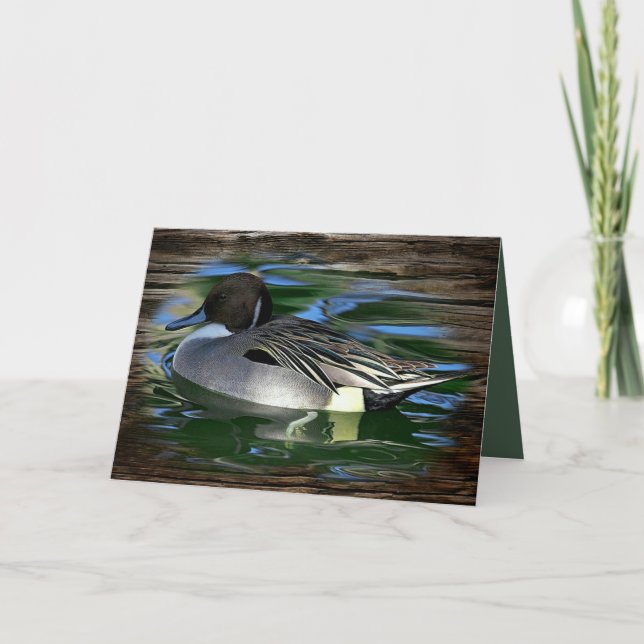 Cartão Mallard Duck No Lago (Frente)