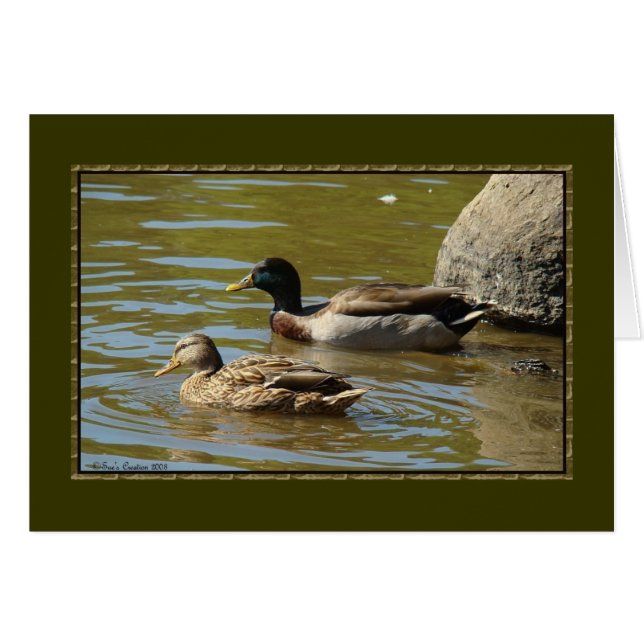 Cartão Mallard Duck Pair (Frente horizontal)