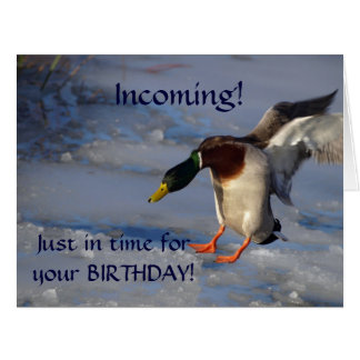 Cartão Mallard Duck Wildlife Foto para amantes de aves