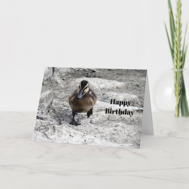 Cartão Mallard Duckling Photo Birthday (Frente)