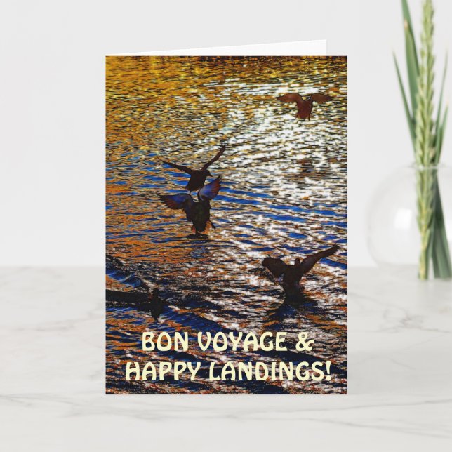 Cartão MALLARD DUCKS Landing Traveler Photo Greeting Card (Frente)