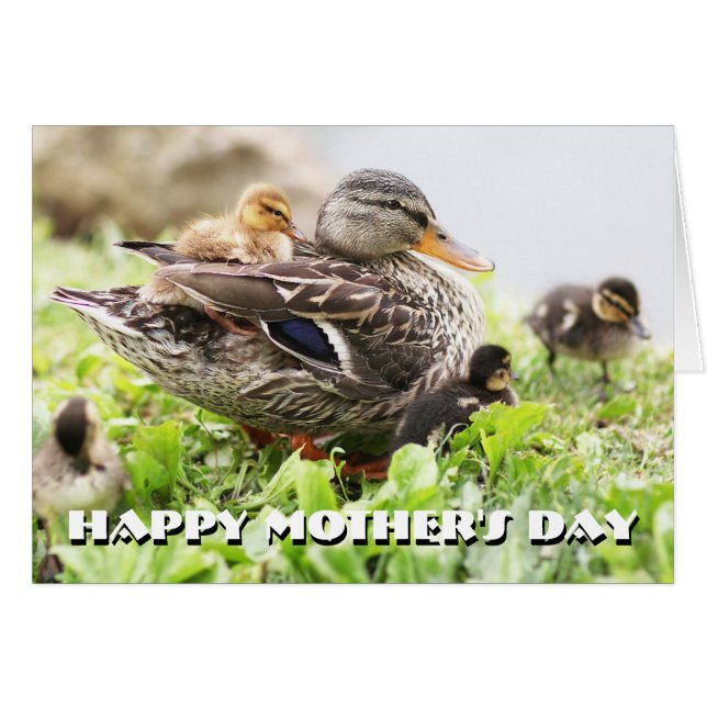 Cartão Mallard, Mulher, Cercada Por Dutos (Frente Horizontal)