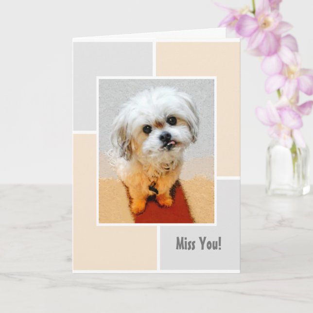 Cartão Malshi Dog Miss You Folheed Greeting Card (Orquídea)