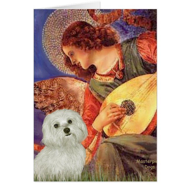Cartão Maltês 11 - Mandolin Angel (Frente)