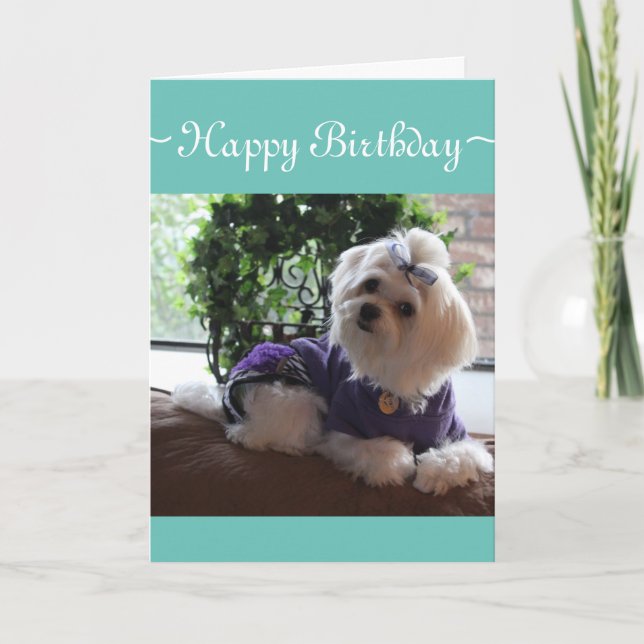 Cartão maltês 2 (Frente)