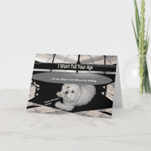 Cartão Maltês Abaixo da Mesa Aniversário Humor Card