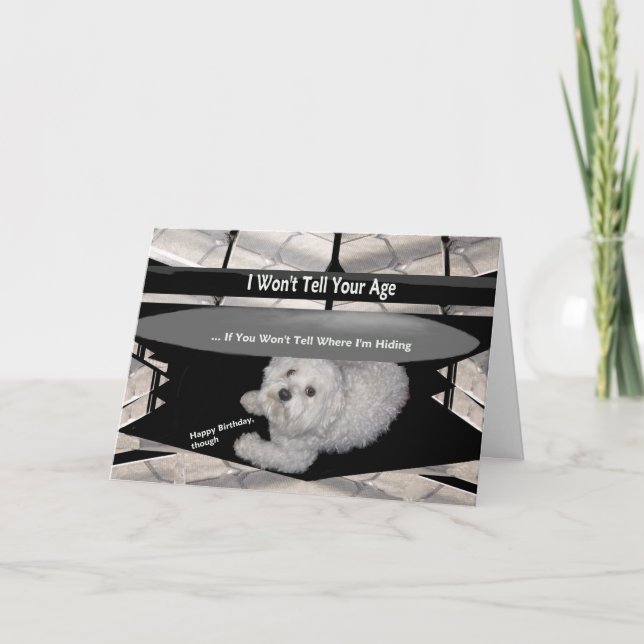 Cartão Maltês Abaixo da Mesa Aniversário Humor Card (Frente)
