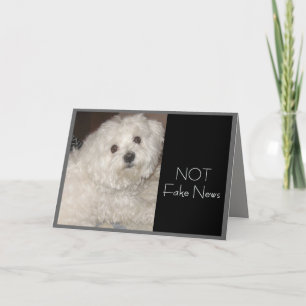 Cartão Maltês Aniversário Humor para Qualquer Pessoa