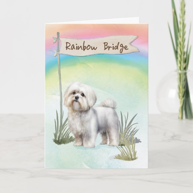 Cartão Maltês Dog Pet SympathOver Rainbow Bridge (Frente)