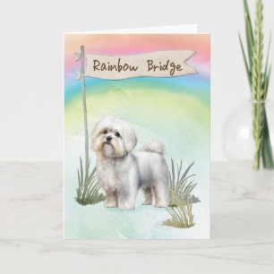 Cartão Maltês Dog Pet SympathOver Rainbow Bridge