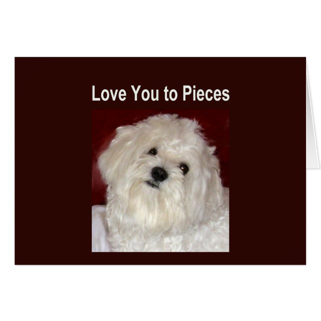 Cartão Maltês TE AMA A PEDAÇOS - Dentro Vazio (Frente Horizontal)