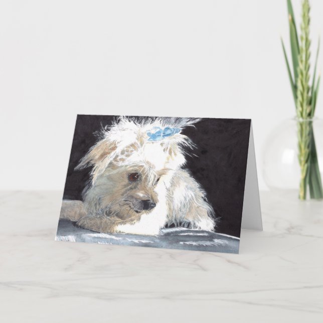 Cartão Maltese Greeting Card (Frente)